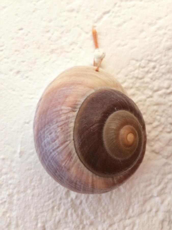 Apartman Turkesici Appartement Jablanac Buitenkant foto